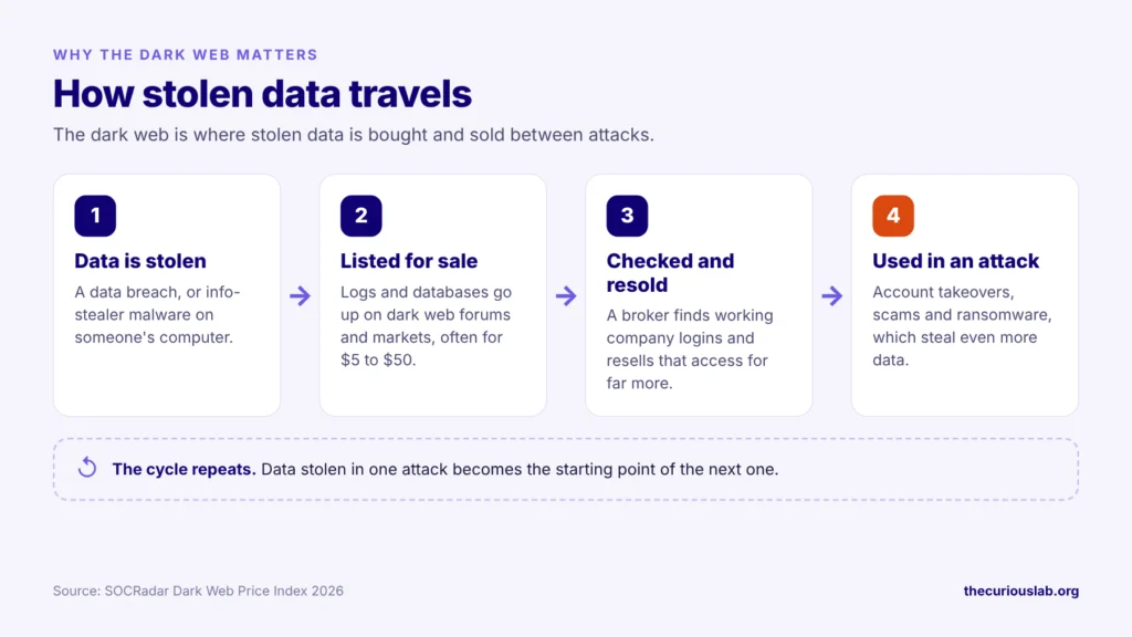 dark web data